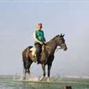 ���������� ���������, ���� ������� ������, 61 ���, ������������ ��� ����� � ���������, c�������� ���������