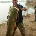  ,   Roma, 46 ,   ,   
