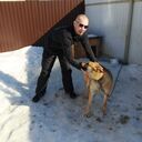 ���������� �����, ���� ������� ������, 54 ����, ������������ ��� ������, ����� � ���������