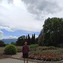 ���������� ������, ���� ������� ������, 36 ���, ������������ ��� ������, ����� � ���������, c�������� ���������, ���������