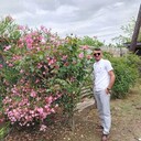 ���������� ������������, ���� ������� �����, 46 ���, ������������ ��� ������, ����� � ���������