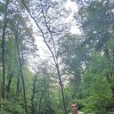  -,   , 37 ,     , c , 