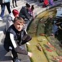 ���������� ���������, ���� ������� �����, 53 ����, ������������ ��� ������, ����� � ���������, c�������� ���������, ���������