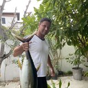 ���������� ����, ���� ����� ����, 25 ���, ������������ ��� ������, ����� � ���������