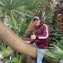  ,   , 31 ,   ,   