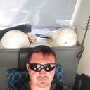 ���������� ������������, ���� ������� �������, 37 ���, ������������ ��� ������, ����� � ���������