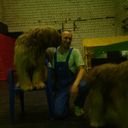 ���������� ������, ���� ������� �������, 38 ���, ������������ ��� ������, ����� � ���������, c�������� ���������