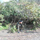  ,   Zond7, 54 ,   , 