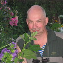  ,   , 70 ,   