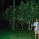 ���������� �������, ���� ����� ����, 24 ����, ������������ ��� ������, ����� � ���������