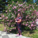  ,   , 59 ,     , c 