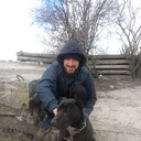 ���������� ������, ���� ������� ������, 38 ���, ������������ ��� ������, ����� � ���������, c�������� ���������, ���������