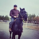 ���������� �������, ���� ������� Ali, 31 ���, ������������ ��� ������, ����� � ���������