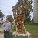 ���������� ����, ���� ������� �������, 51 ���, ������������ ��� ������, ����� � ���������, c�������� ���������