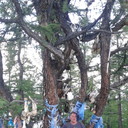  ,   , 57 ,   ,   , c 