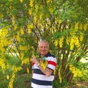  ,   Jordg, 61 ,   