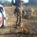 ���������� ����������, ���� ������� ���������, 47 ���, ������������ ��� ������, ����� � ���������, c�������� ���������