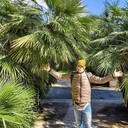 ���������� �����-���������, ���� ������� �������, 47 ���, ������������ ��� ������, ����� � ���������, c�������� ���������