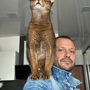 ���������� ������, ���� ������� ������, 40 ���, ������������ ��� ������, ����� � ���������, c�������� ���������