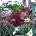  ,   Masha, 41 ,  