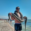 ���������� �������, ���� ������� ����, 38 ���, ������������ ��� ������, ����� � ���������, c�������� ���������