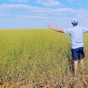 ���������� ���������, ���� ������� �����, 36 ���, ������������ ��� ������, ����� � ���������, c�������� ���������