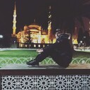 ���������� �������, ���� ������� HIZIR, 32 ����, ������������ ��� ������, ����� � ���������, c�������� ���������