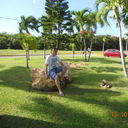 ���������� ������, ���� ������� Roman, 46 ���, ������������ ��� ������