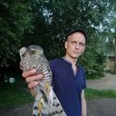 ���������� �����-���������, ���� ������� �������, 38 ���, ������������ ��� ������, ����� � ���������, c�������� ���������