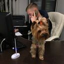 ���������� ������, ���� ������� ������, 33 ����, ������������ ��� ������, ����� � ���������