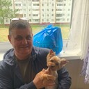  ,   , 50 ,   ,   