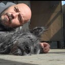 ���������� ������, ���� ������� ����, 45 ���, ������������ ��� ������, ����� � ���������, c�������� ���������