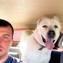 ���������� �������, ���� ������� ����, 30 ���, ������������ ��� ������, ����� � ���������, c�������� ���������, ���������