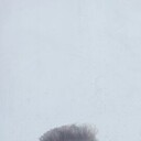  ,   , 44 ,   ,   , c , 