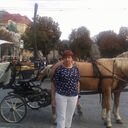  ,   , 62 ,   ,   , c 