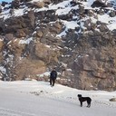 ���������� ���������, ���� ������� ������, 40 ���, ������������ ��� ������, ����� � ���������, c�������� ���������