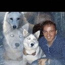 ���������� ���, ���� ������� ��������, 37 ���, ������������ ��� c�������� ���������