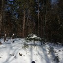  -,   , 44 ,   ,   , c 