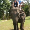 ���������� ��������, ���� ������� �������, 39 ���, ������������ ��� ������