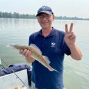  ,   , 56 ,   ,   