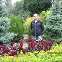 ���������� ��������, ���� ������� ������555, 56 ���, ������������ ��� ������, ����� � ���������, c�������� ���������