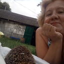  ,   , 54 ,   ,   