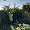 ���������� �������, ���� ������� �������, 58 ���, ������������ ��� ������, ����� � ���������