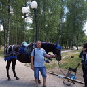  ,   , 63 ,   ,   , c 