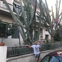  ,   , 36 ,   