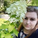  ,   , 29 ,     , c , 