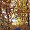 ���������� ���������, ���� ������� ������, 48 ���, ������������ ��� ����� � ���������, c�������� ���������