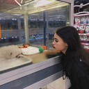 ���������� ������, ���� ������� ��������, 25 ���, ������������ ��� ������, ���������