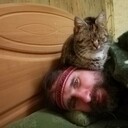 ���������� �����, ���� ������� ������, 46 ���, ������������ ��� ������, ����� � ���������