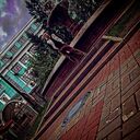 ���������� �����������, ���� ����� Roma, 20 ���, ������������ ��� ������, ����� � ���������